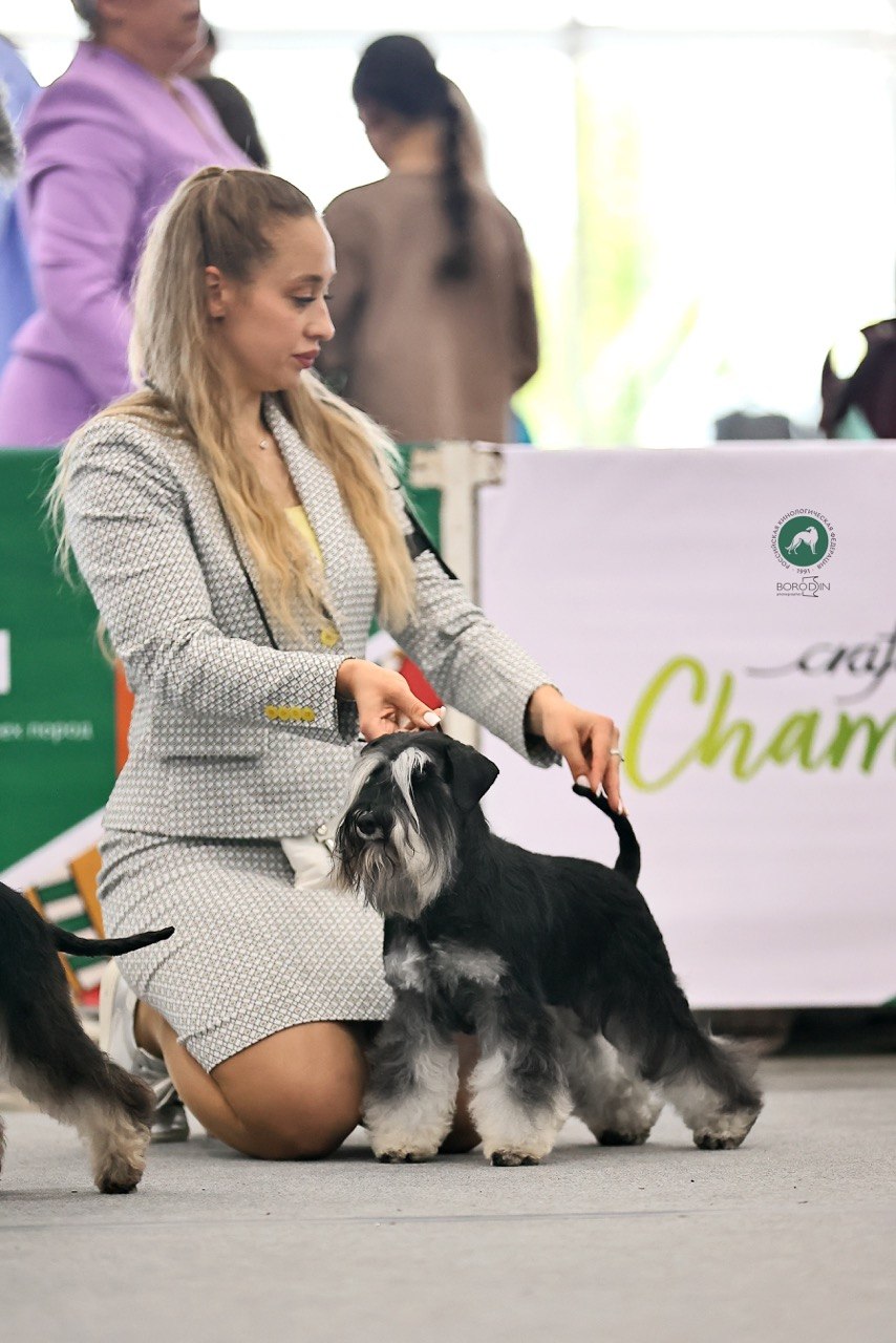 https://upforme.ru/uploads/0013/26/e2/64/32246.jpg