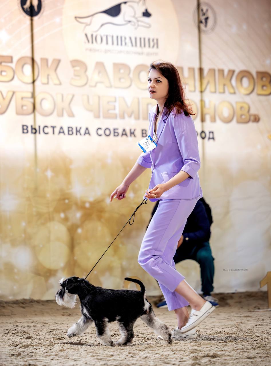 https://upforme.ru/uploads/0013/26/e2/64/325340.jpg