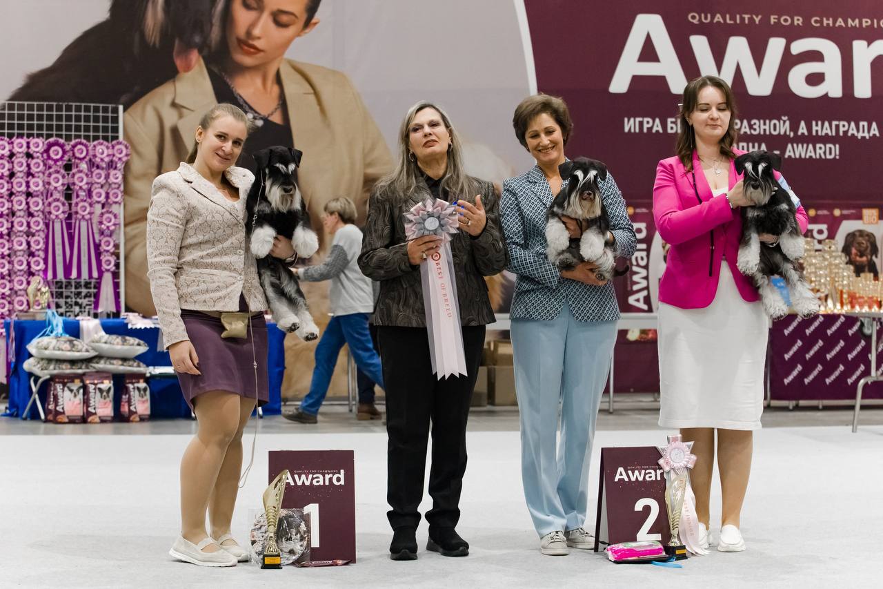 https://upforme.ru/uploads/0013/26/e2/64/333185.jpg