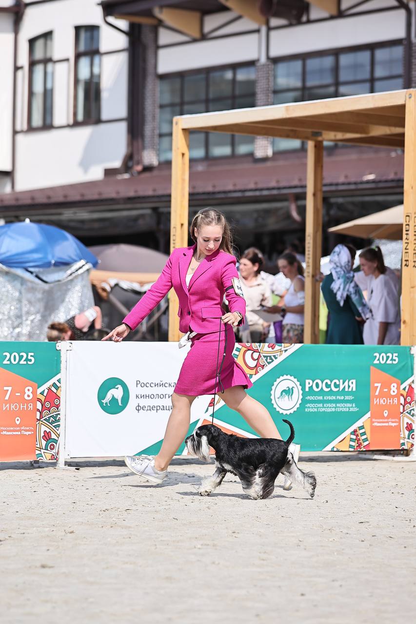 https://upforme.ru/uploads/0013/26/e2/64/33803.jpg