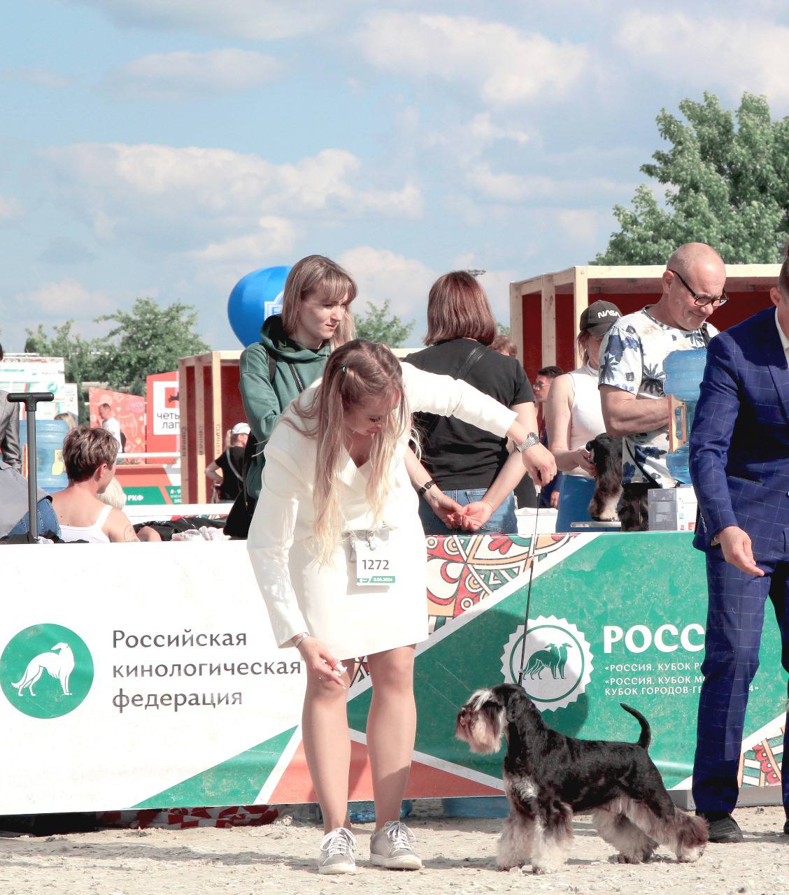 https://upforme.ru/uploads/0013/26/e2/64/35610.jpg