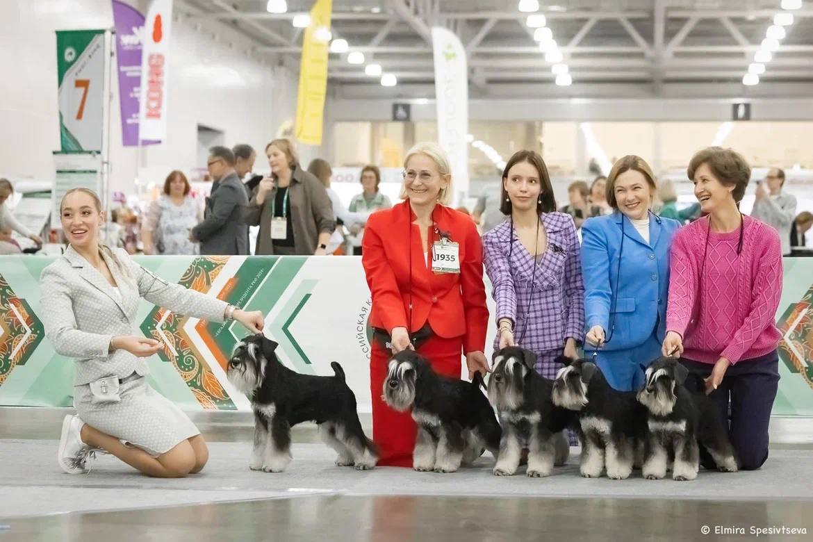 https://upforme.ru/uploads/0013/26/e2/64/357740.jpg