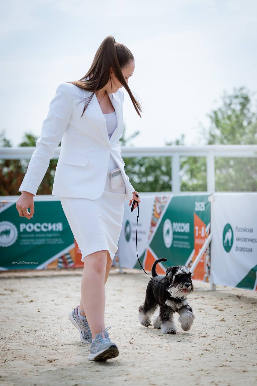https://upforme.ru/uploads/0013/26/e2/64/370212.jpg