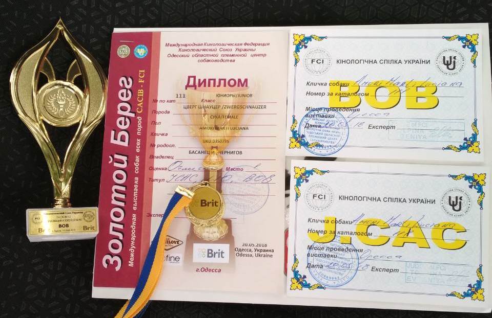 https://upforme.ru/uploads/0013/26/e2/64/372388.jpg