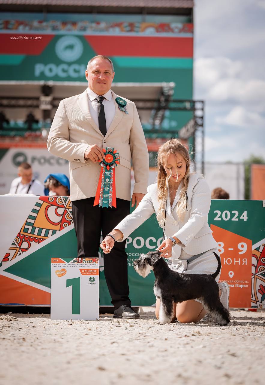 https://upforme.ru/uploads/0013/26/e2/64/375097.jpg