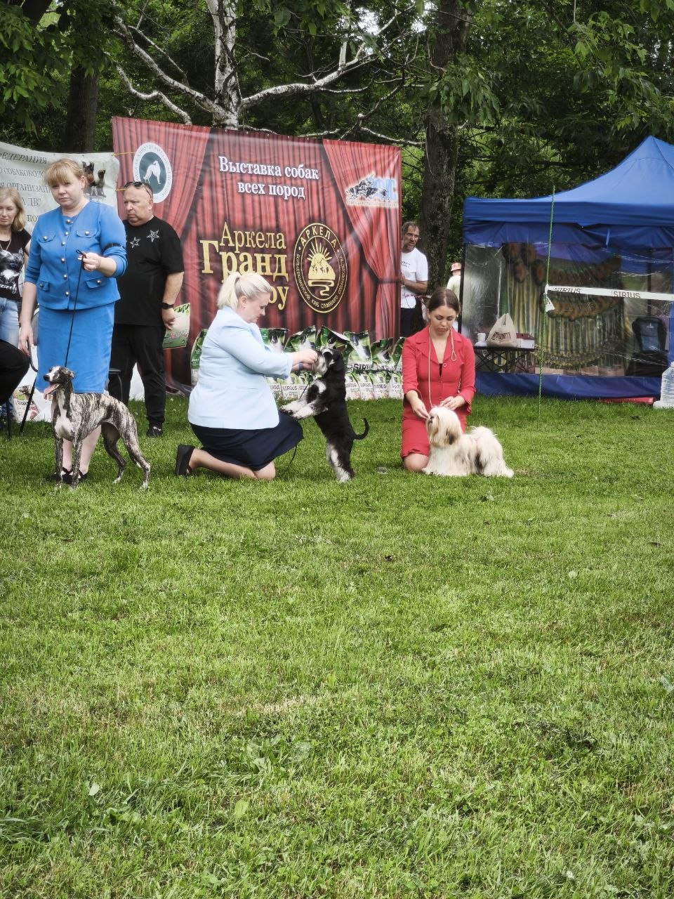 https://upforme.ru/uploads/0013/26/e2/64/378767.jpg
