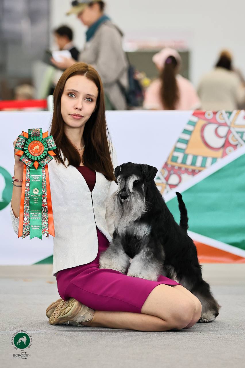 https://upforme.ru/uploads/0013/26/e2/64/382270.jpg