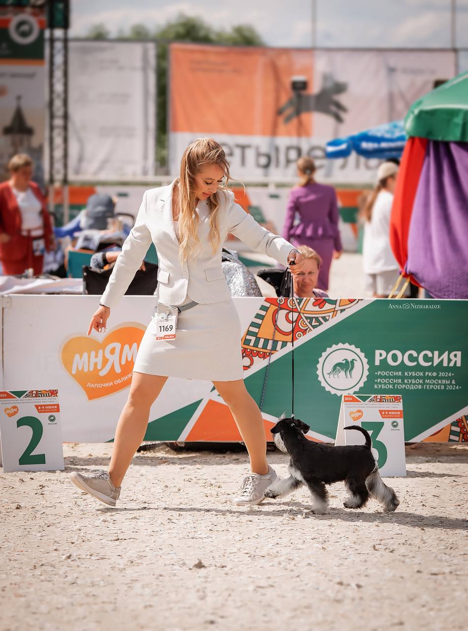 https://upforme.ru/uploads/0013/26/e2/64/387780.jpg