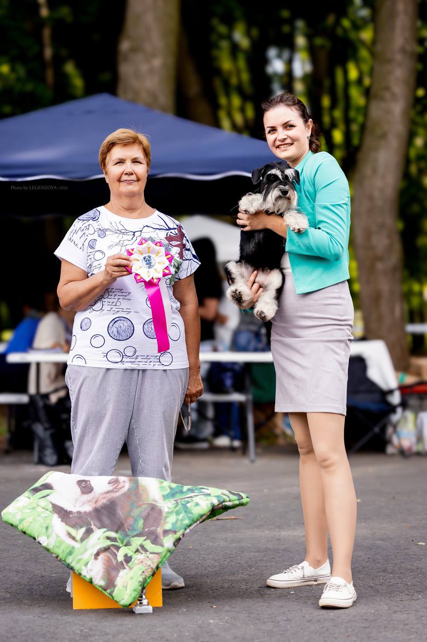 https://upforme.ru/uploads/0013/26/e2/64/393229.jpg