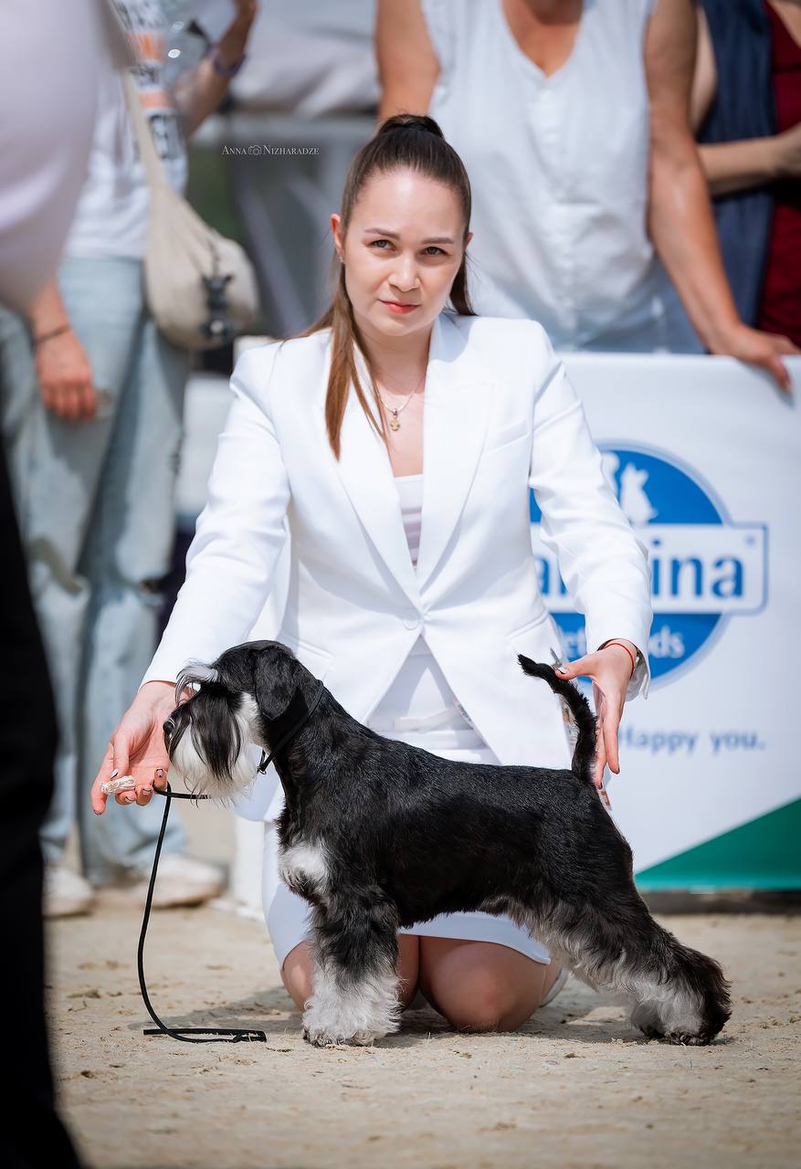 https://upforme.ru/uploads/0013/26/e2/64/398003.jpg