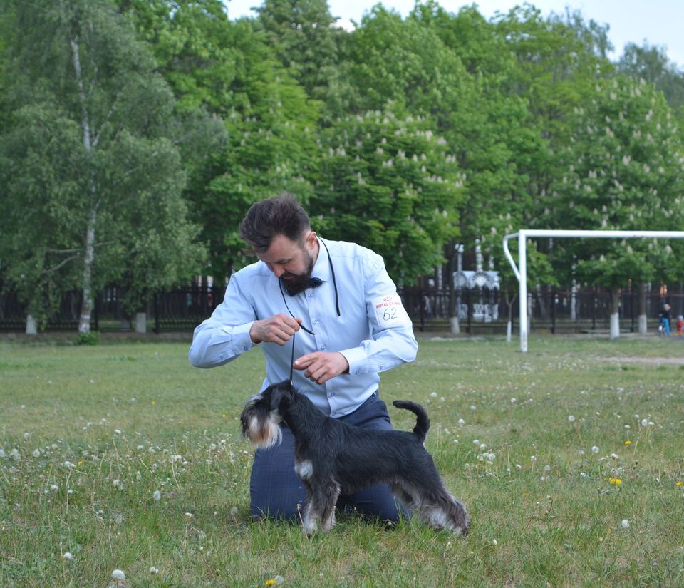 https://upforme.ru/uploads/0013/26/e2/64/410260.jpg