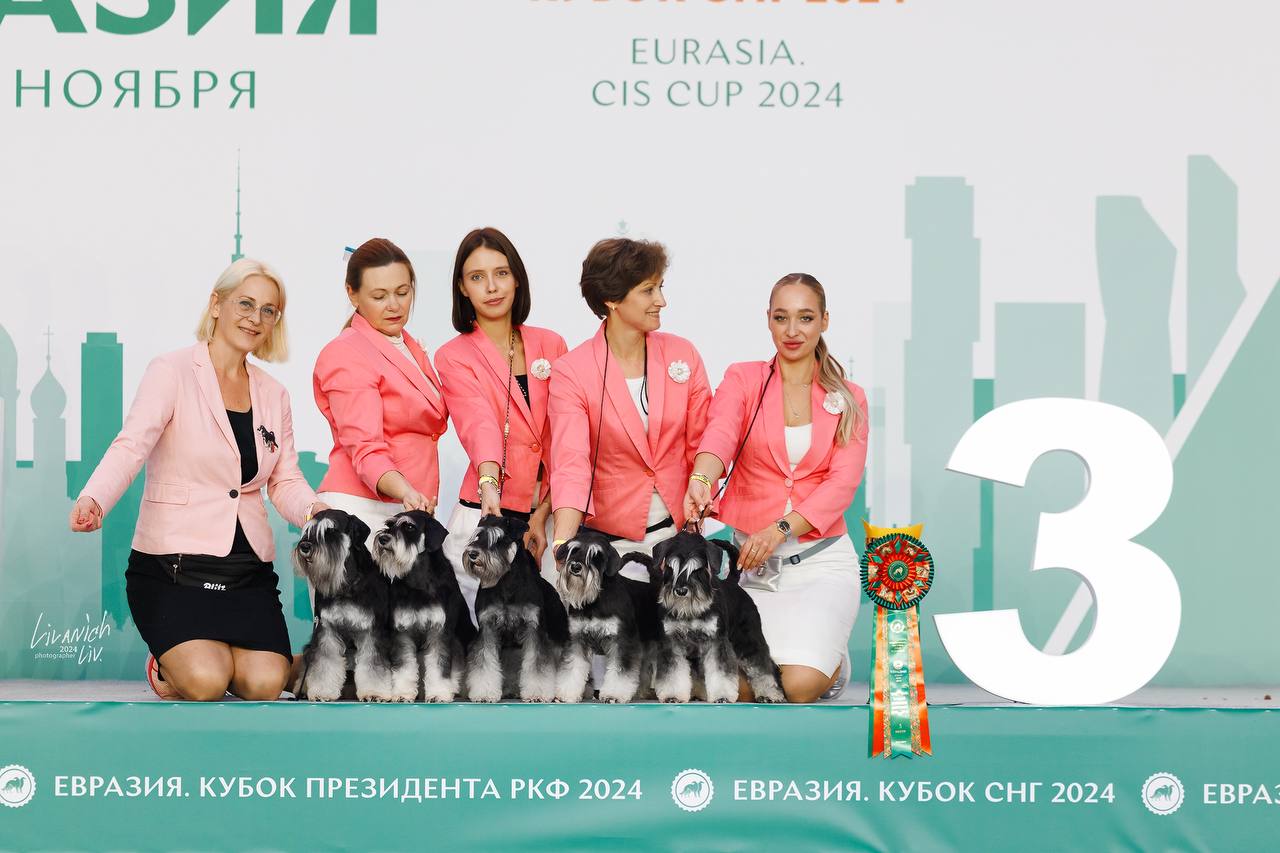 https://upforme.ru/uploads/0013/26/e2/64/410989.jpg