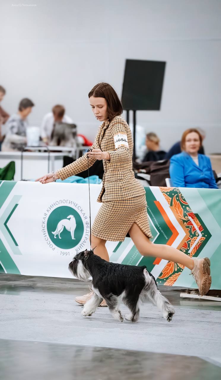 https://upforme.ru/uploads/0013/26/e2/64/412272.jpg