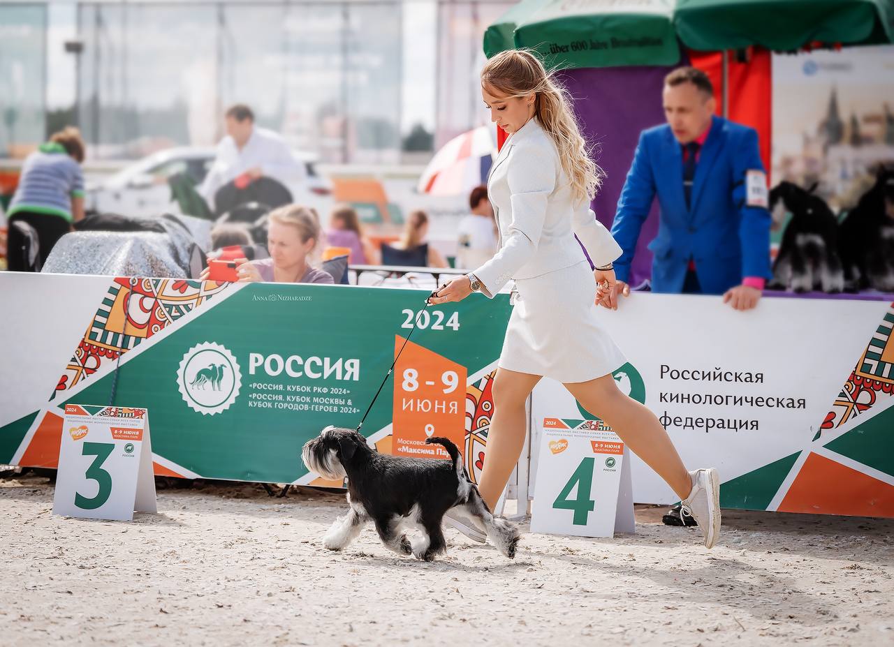 https://upforme.ru/uploads/0013/26/e2/64/415791.jpg