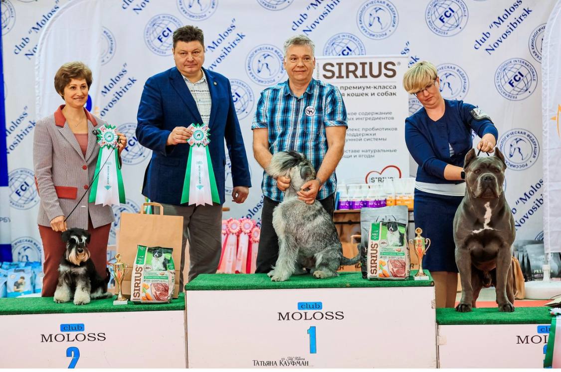 https://upforme.ru/uploads/0013/26/e2/64/423243.jpg