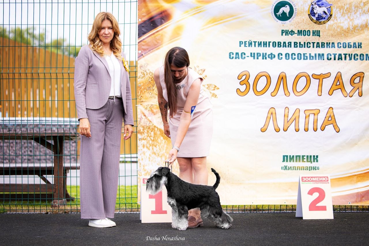 https://upforme.ru/uploads/0013/26/e2/64/426531.jpg