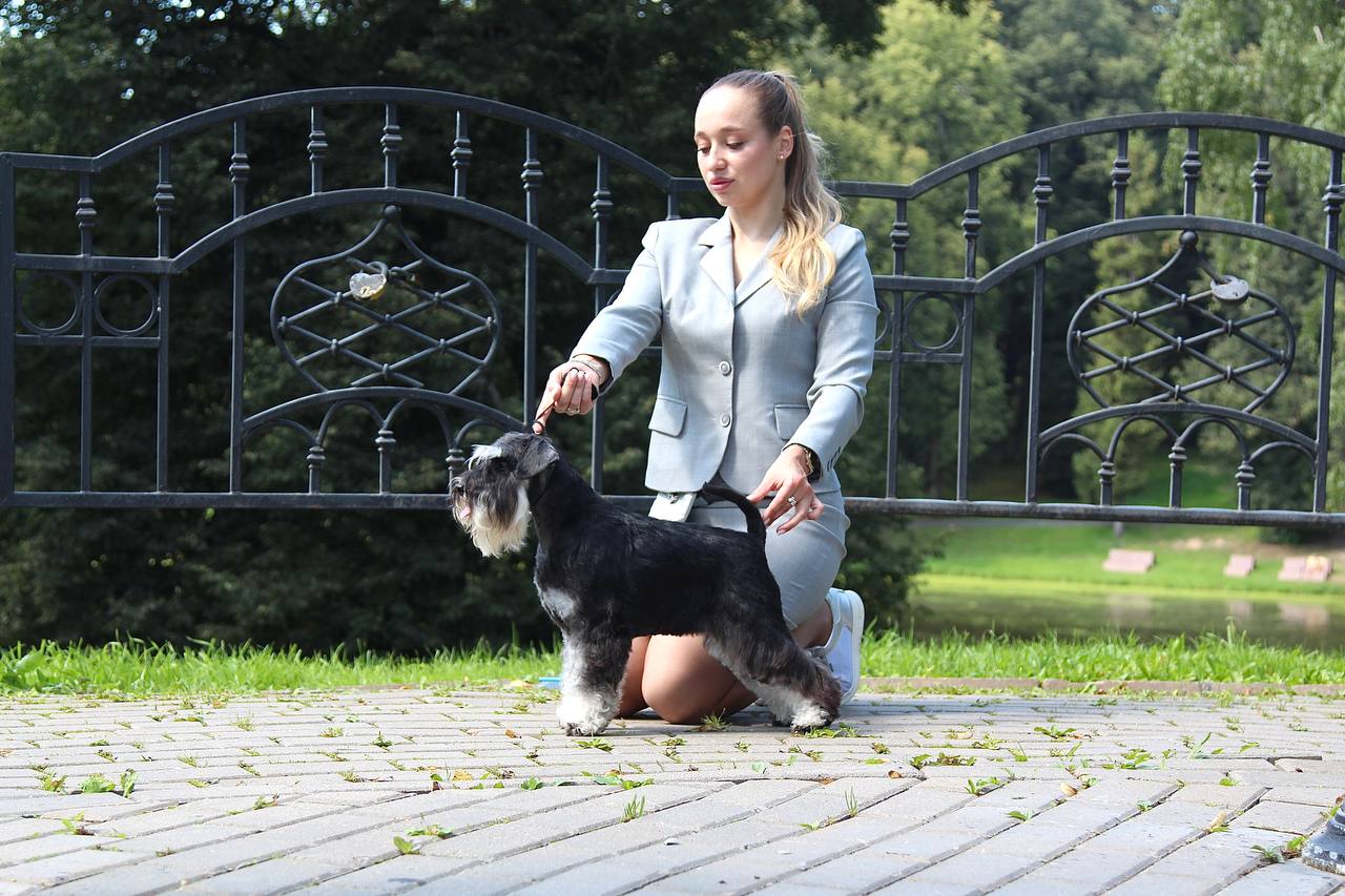 https://upforme.ru/uploads/0013/26/e2/64/456156.jpg