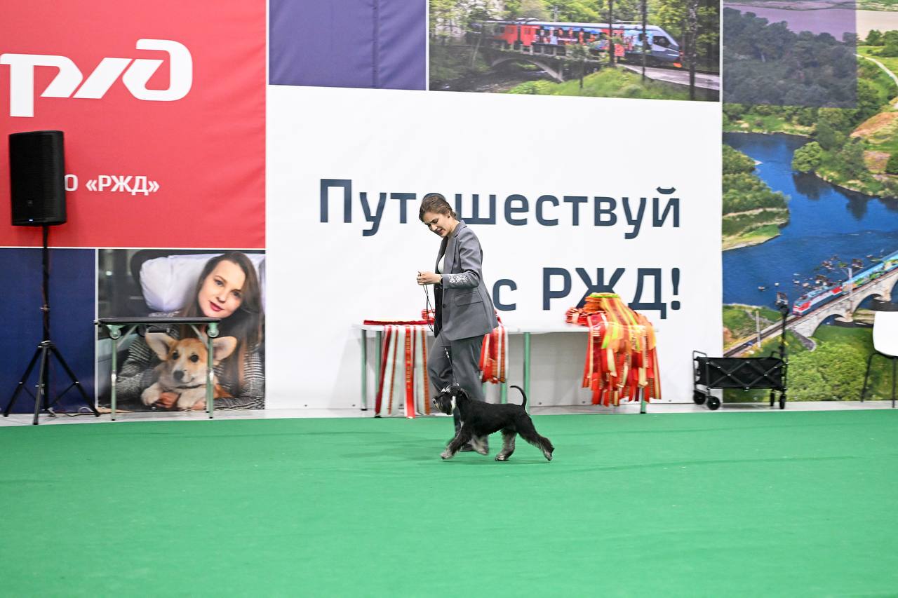 https://upforme.ru/uploads/0013/26/e2/64/459578.jpg