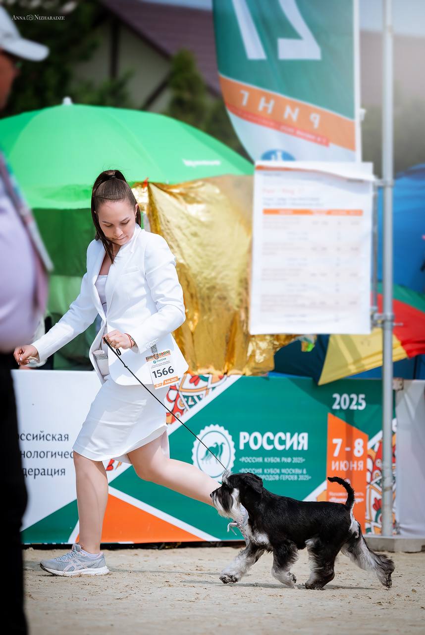 https://upforme.ru/uploads/0013/26/e2/64/473344.jpg