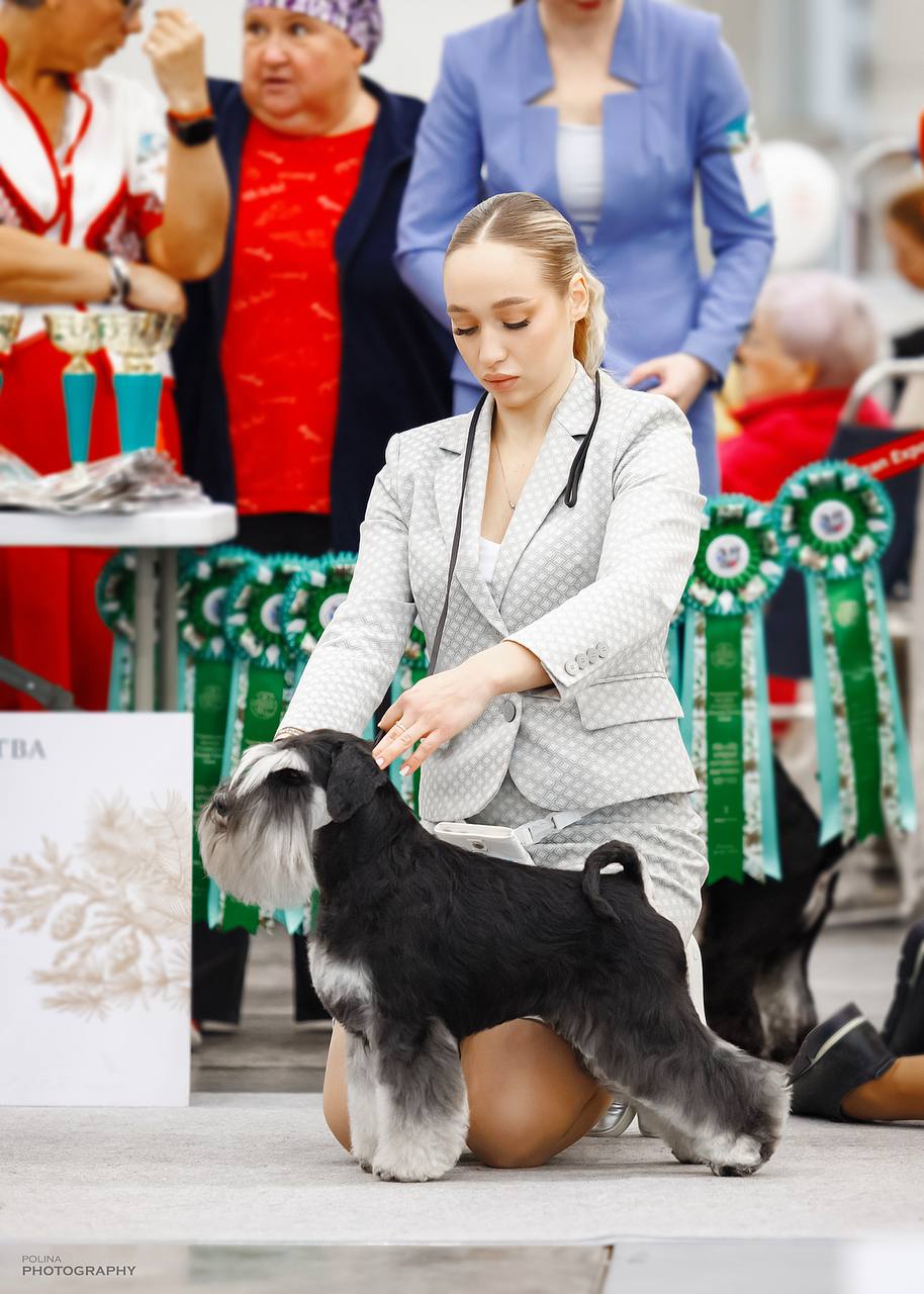https://upforme.ru/uploads/0013/26/e2/64/479210.jpg