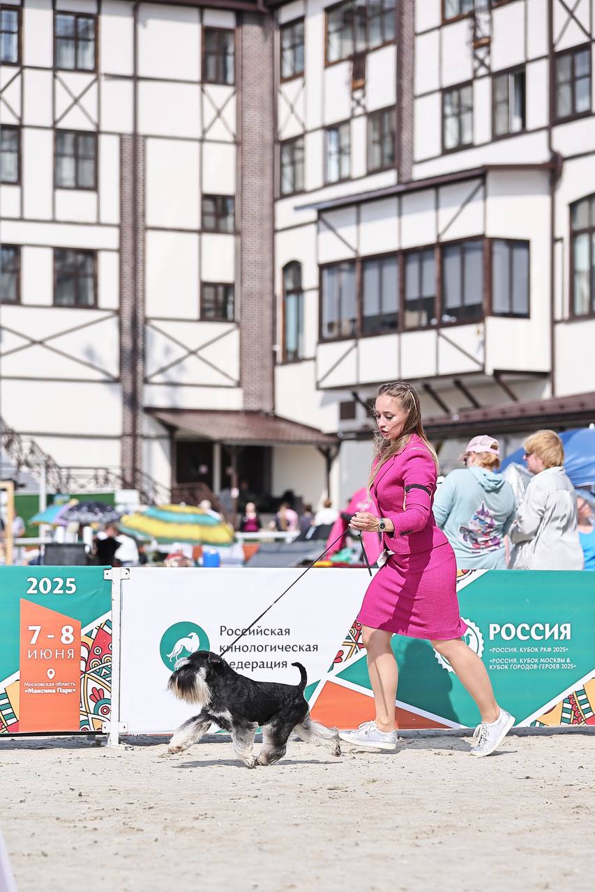 https://upforme.ru/uploads/0013/26/e2/64/48169.jpg