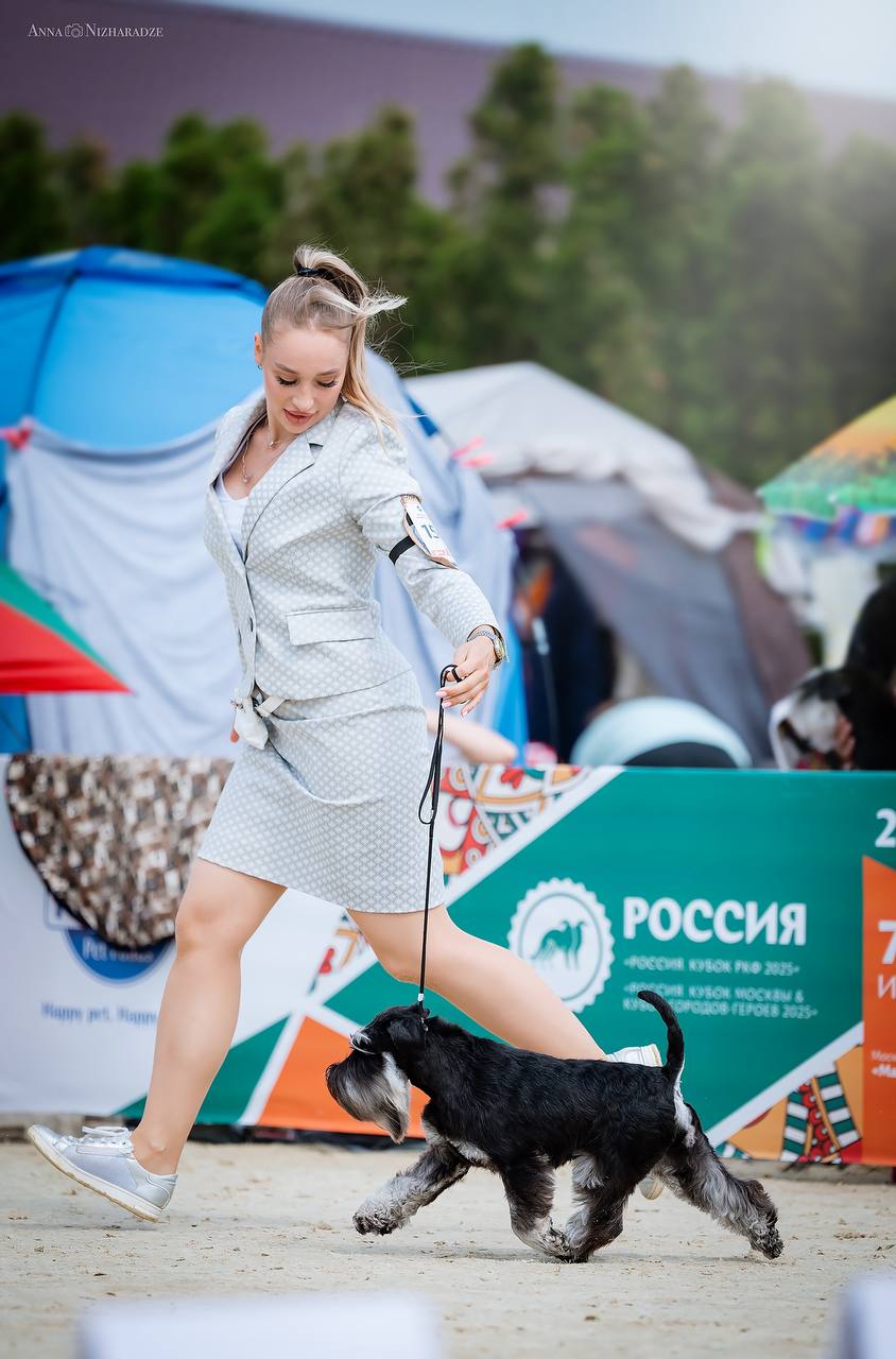 https://upforme.ru/uploads/0013/26/e2/64/487423.jpg