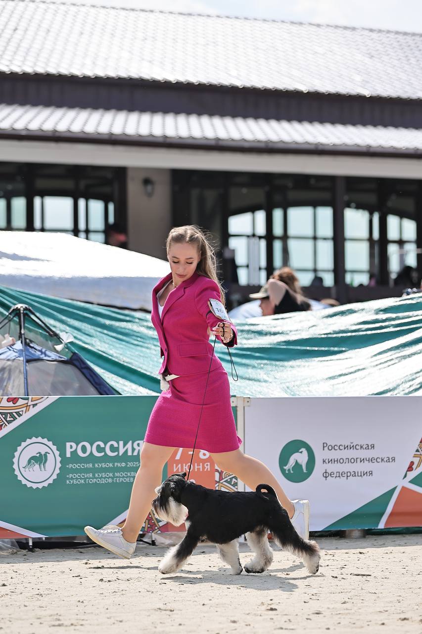 https://upforme.ru/uploads/0013/26/e2/64/487801.jpg