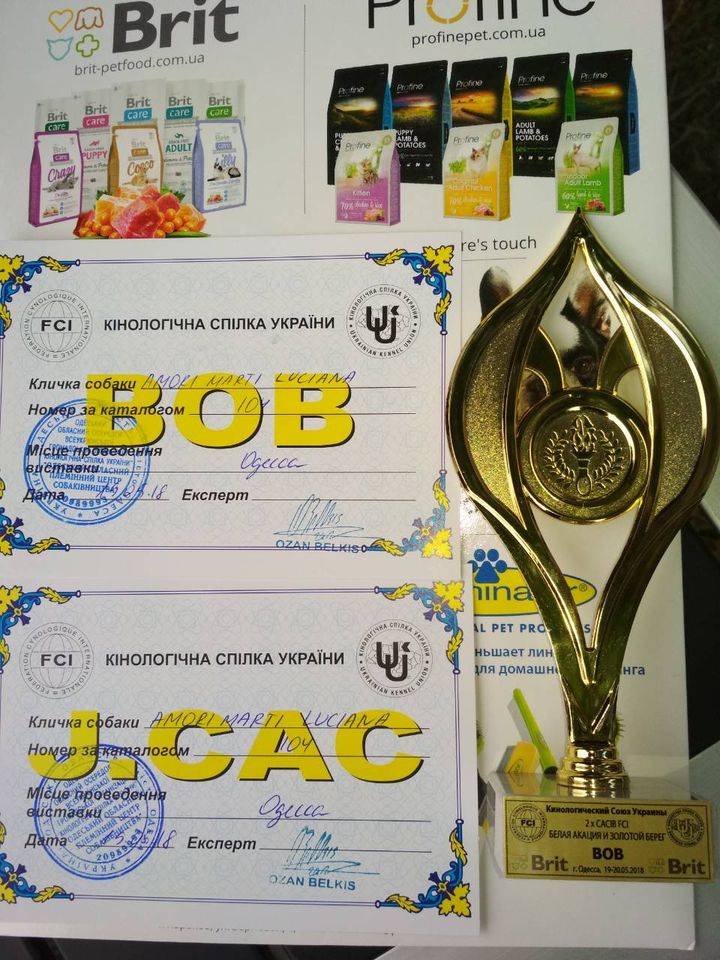 https://upforme.ru/uploads/0013/26/e2/64/489495.jpg