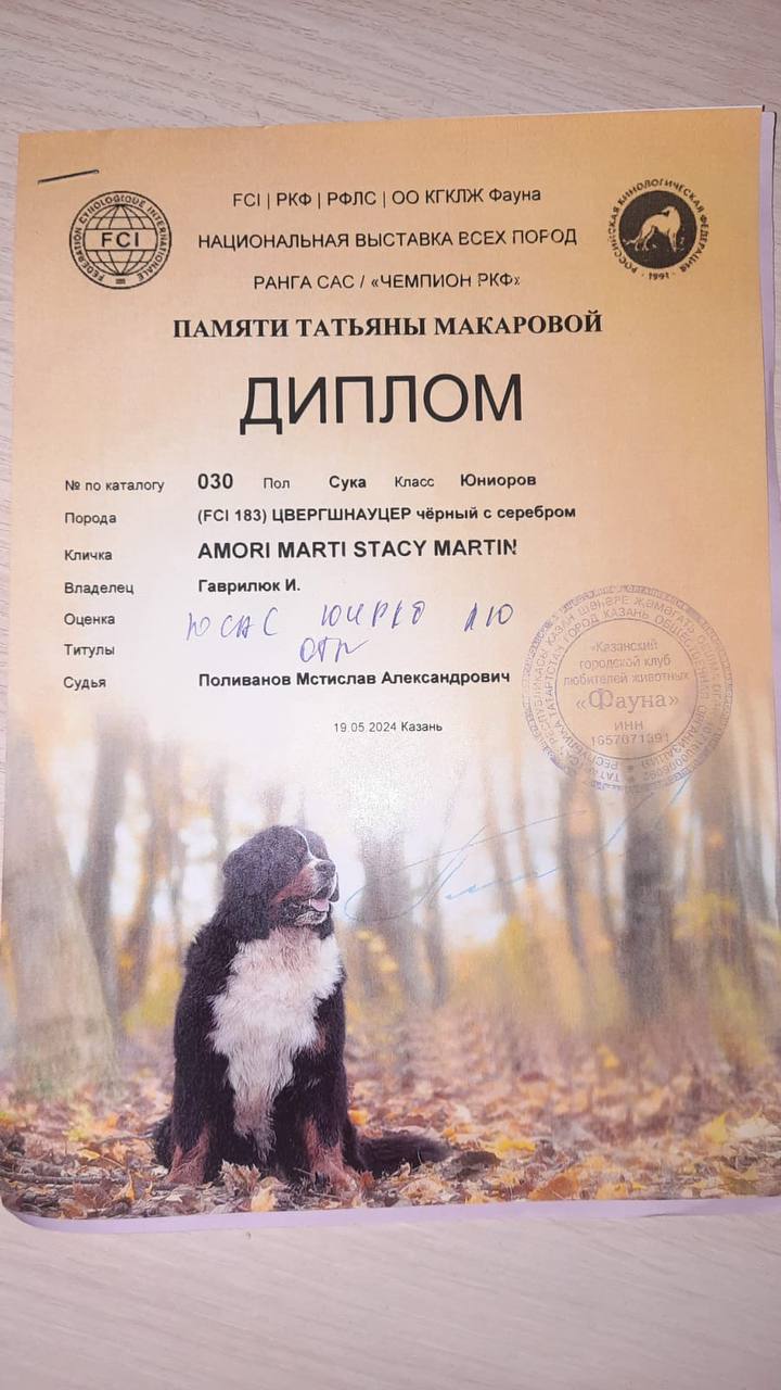 https://upforme.ru/uploads/0013/26/e2/64/505011.jpg