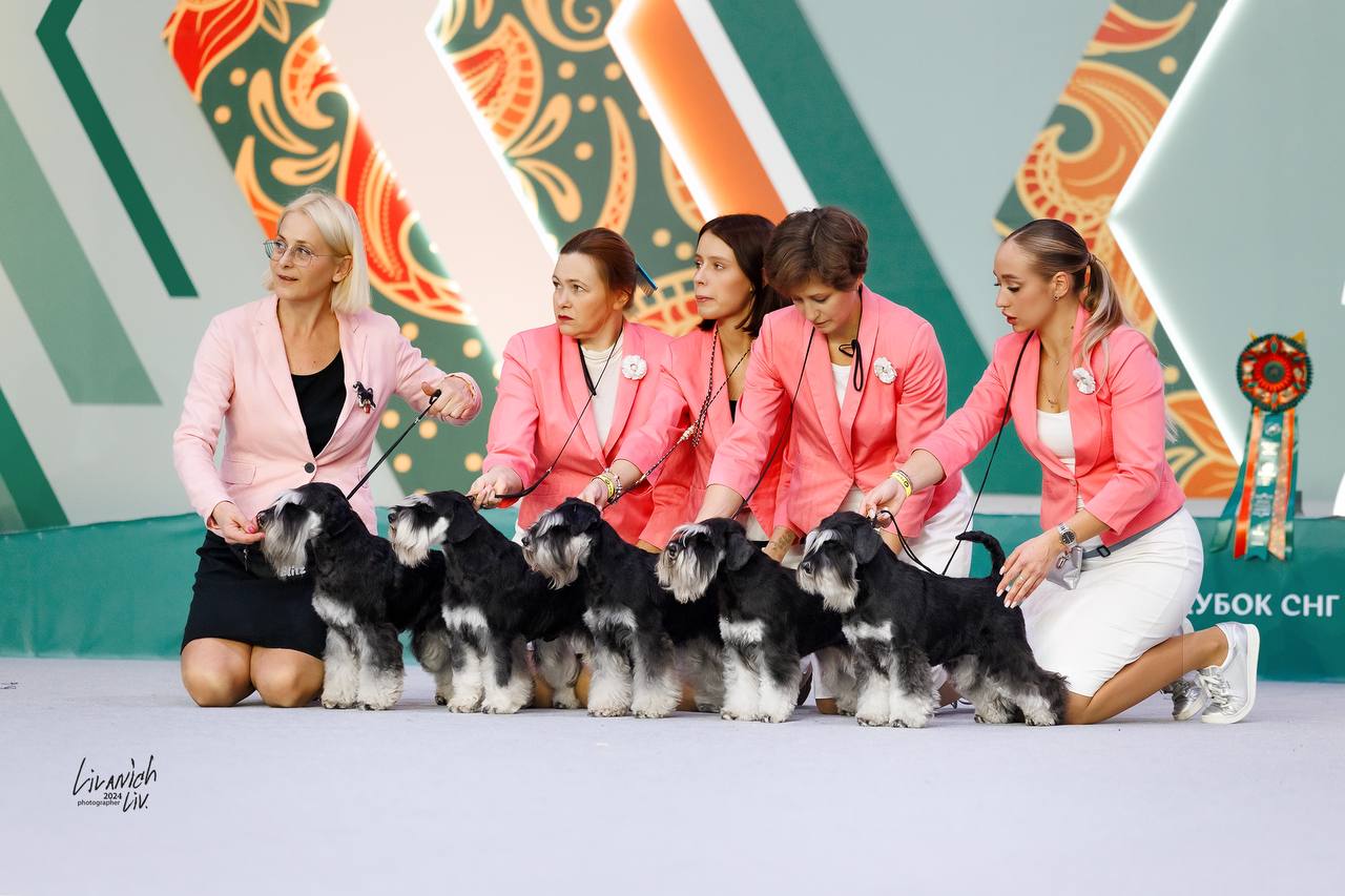 https://upforme.ru/uploads/0013/26/e2/64/509553.jpg