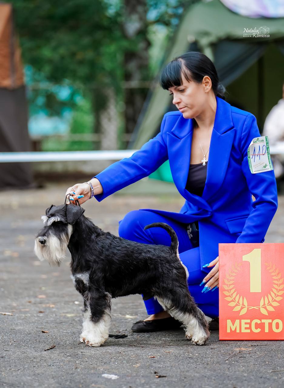 https://upforme.ru/uploads/0013/26/e2/64/510773.jpg