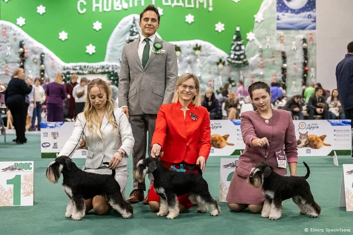 https://upforme.ru/uploads/0013/26/e2/64/515503.jpg