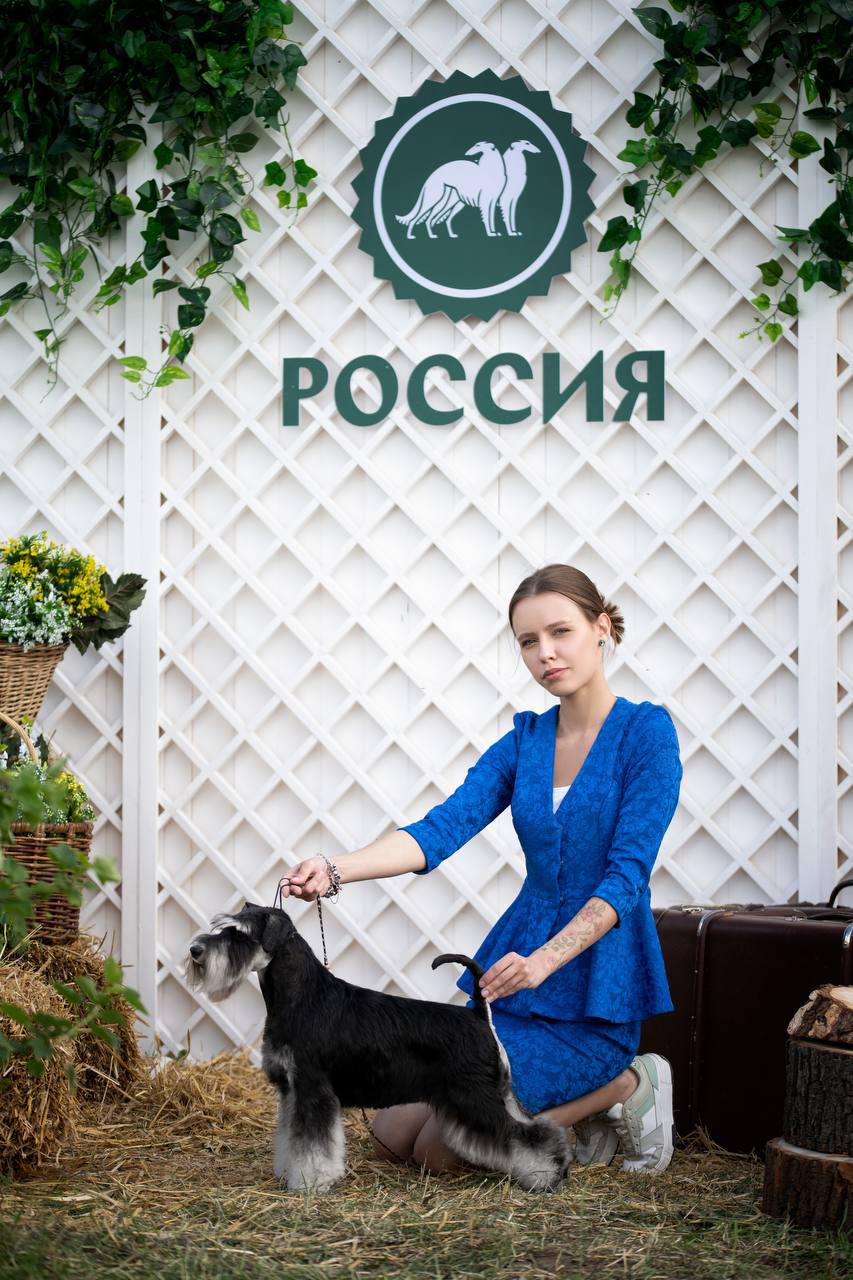 https://upforme.ru/uploads/0013/26/e2/64/51687.jpg
