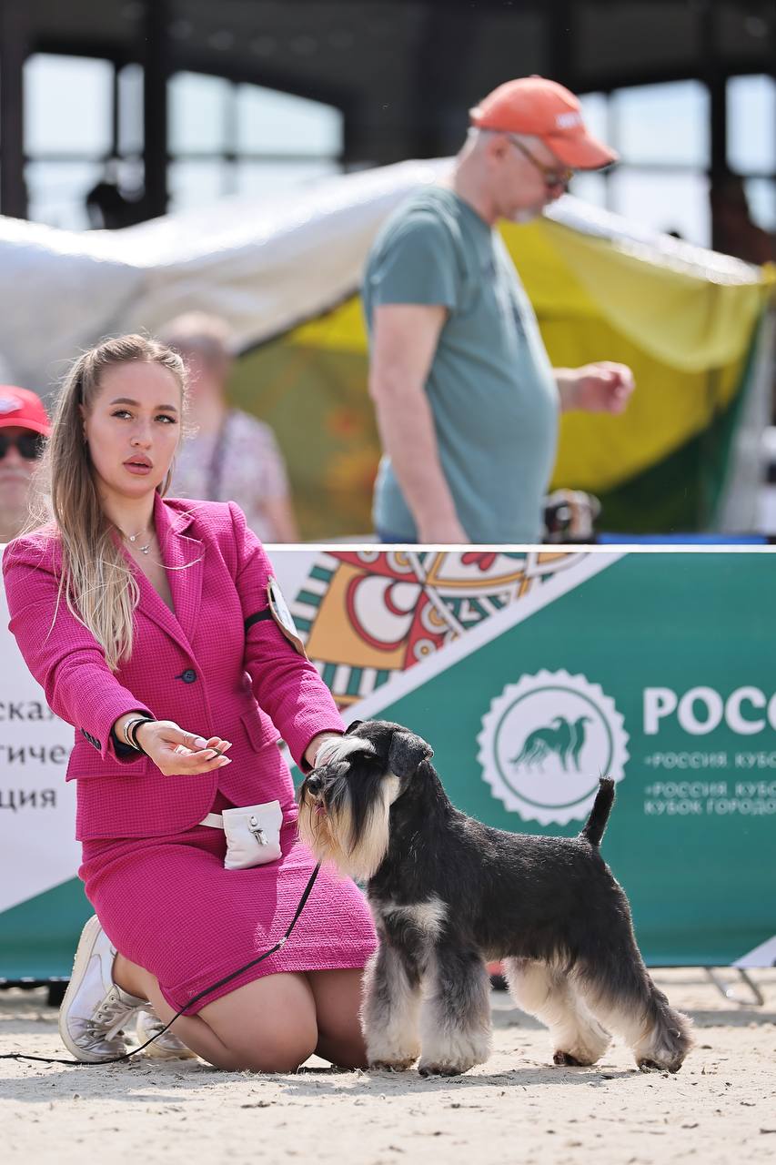 https://upforme.ru/uploads/0013/26/e2/64/527492.jpg