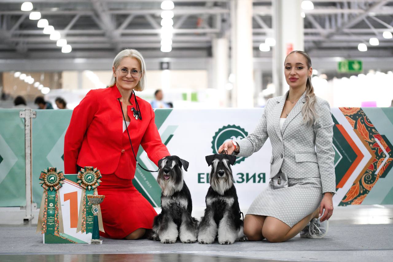 https://upforme.ru/uploads/0013/26/e2/64/528597.jpg