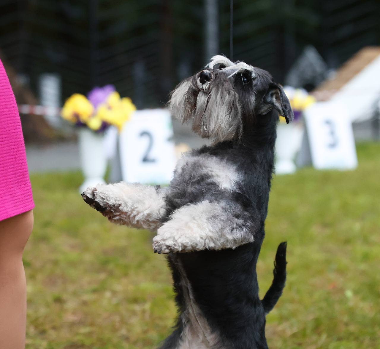 https://upforme.ru/uploads/0013/26/e2/64/533684.jpg
