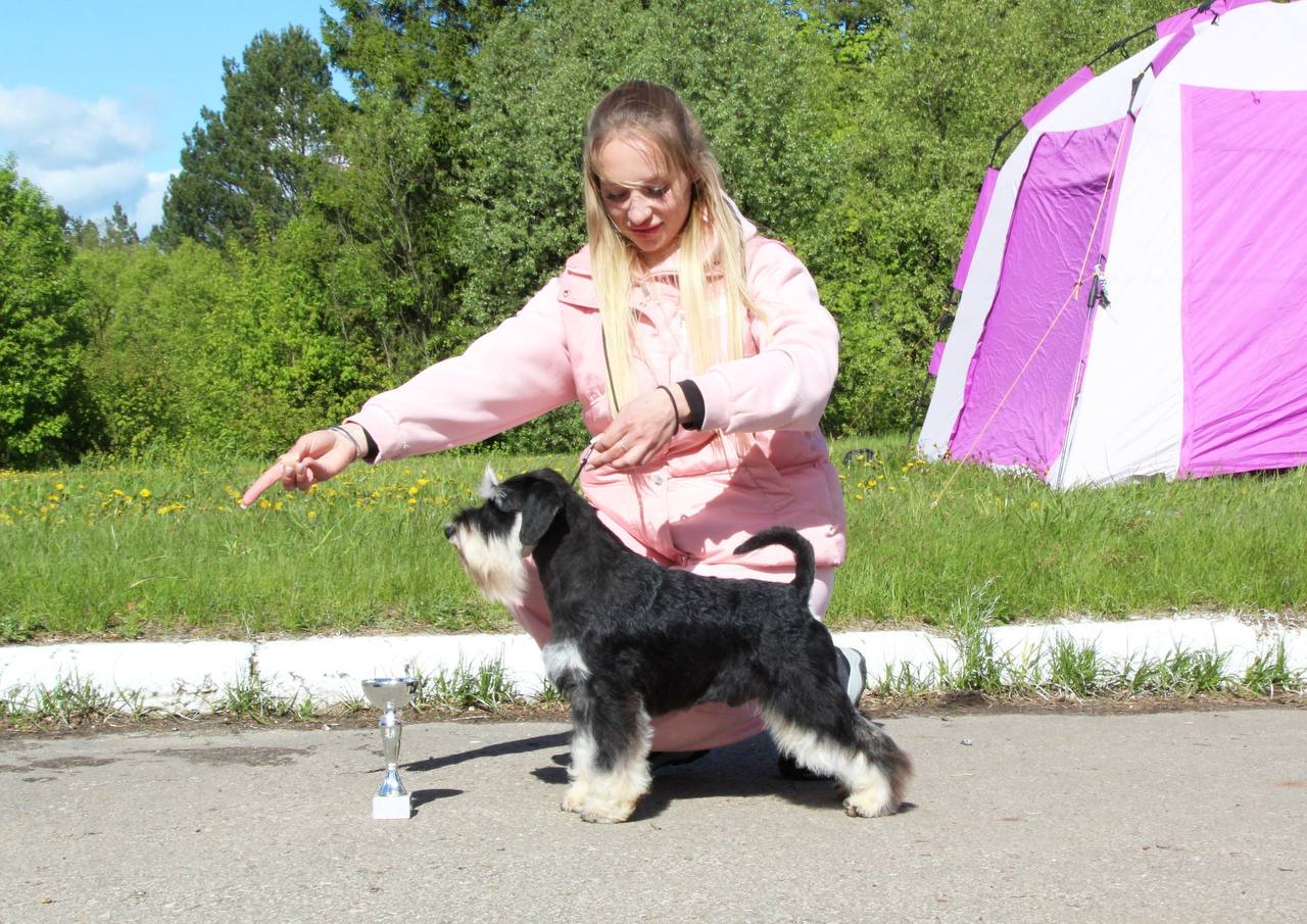 https://upforme.ru/uploads/0013/26/e2/64/537385.jpg