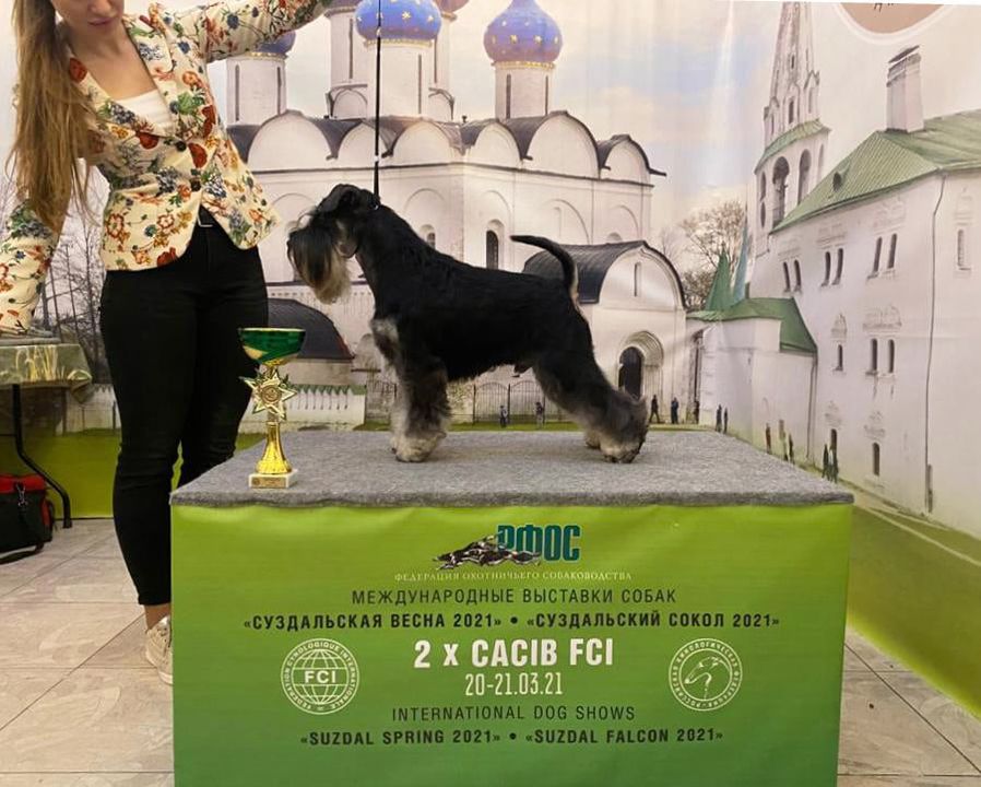 https://upforme.ru/uploads/0013/26/e2/64/552870.jpg