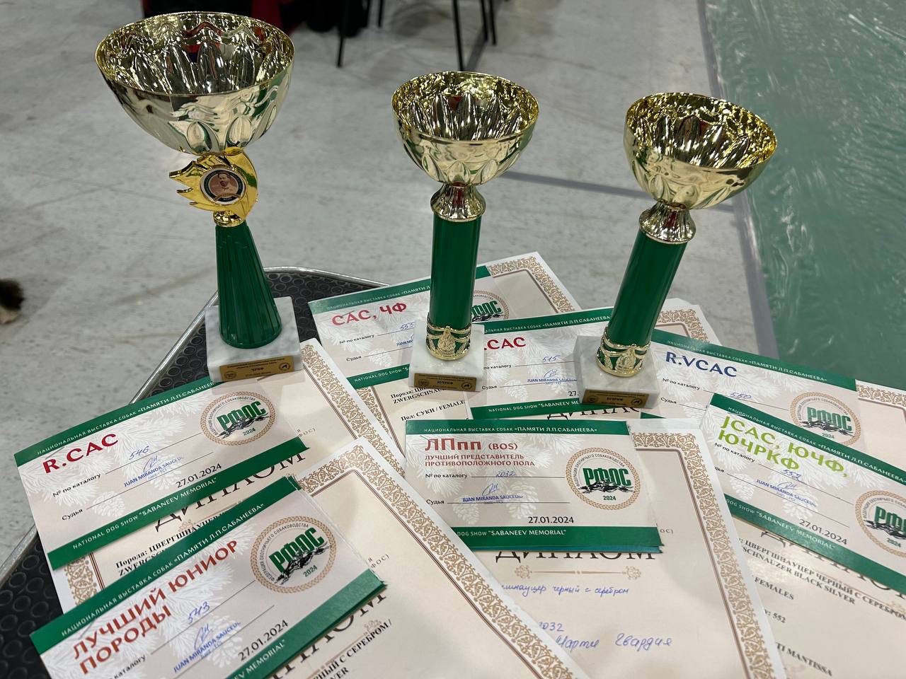 https://upforme.ru/uploads/0013/26/e2/64/558650.jpg