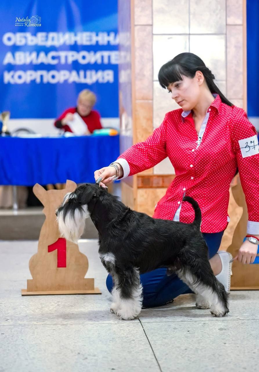 https://upforme.ru/uploads/0013/26/e2/64/56987.jpg