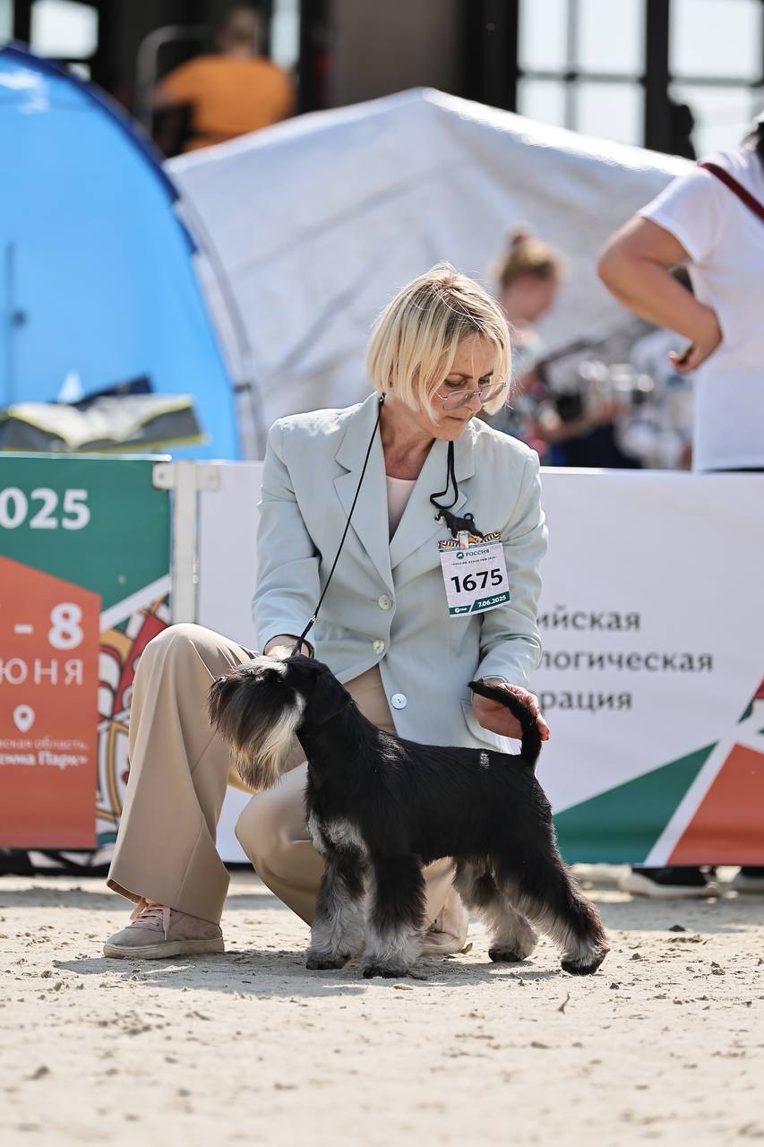 https://upforme.ru/uploads/0013/26/e2/64/573245.jpg
