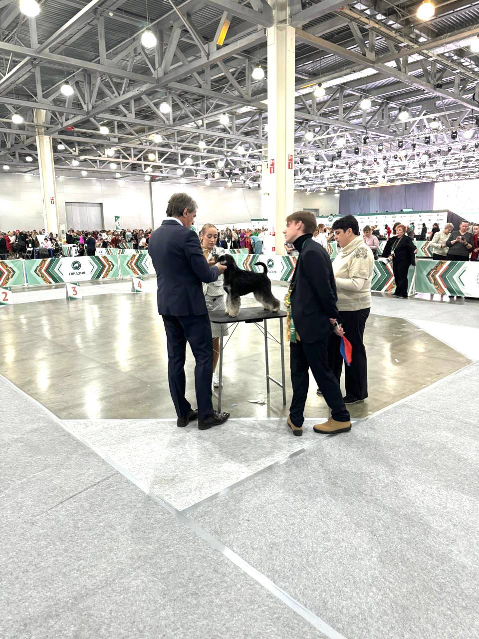 https://upforme.ru/uploads/0013/26/e2/64/576508.jpg