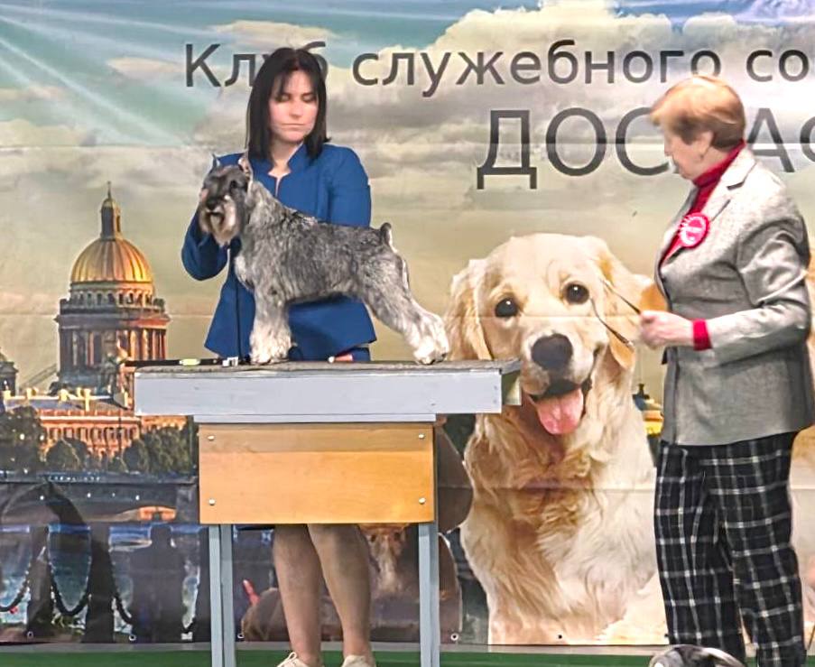 https://upforme.ru/uploads/0013/26/e2/64/57946.jpg