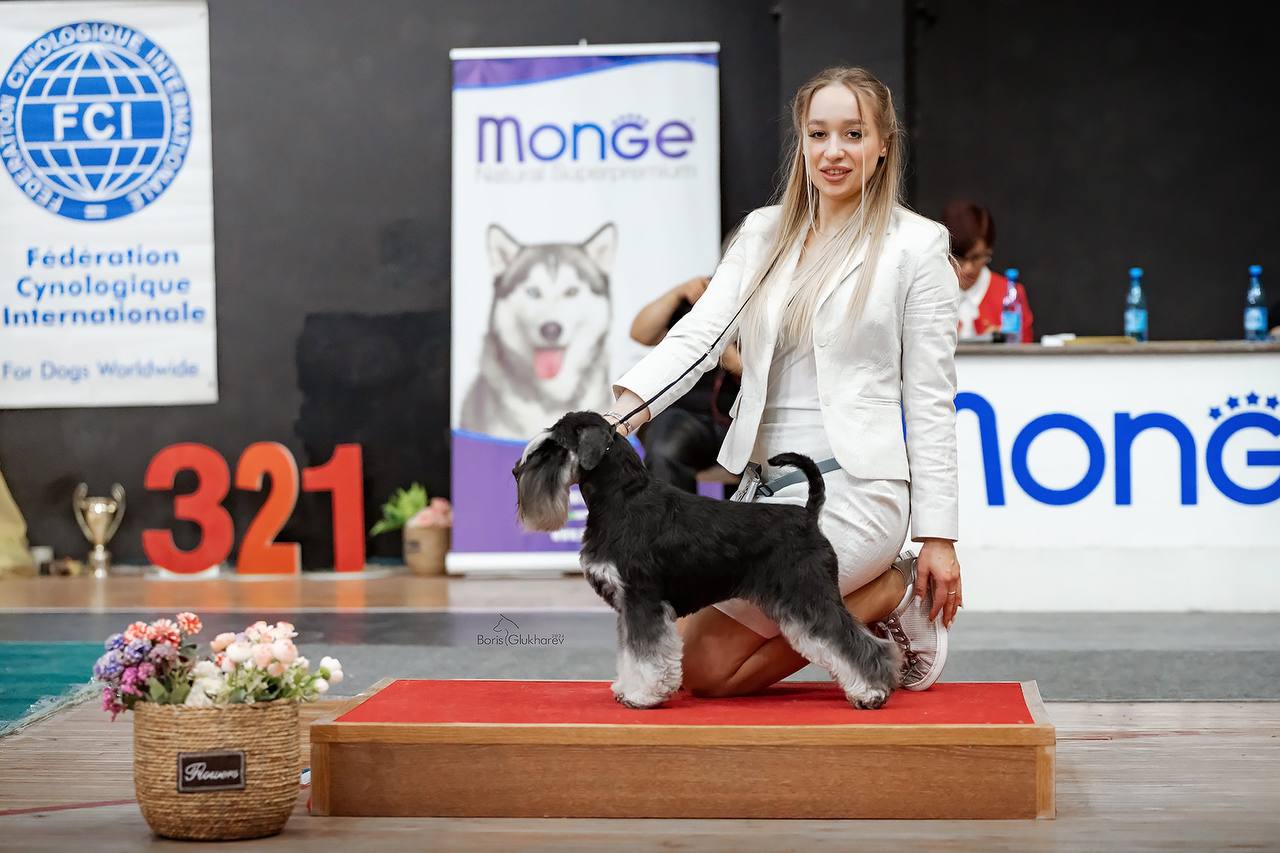 https://upforme.ru/uploads/0013/26/e2/64/583116.jpg