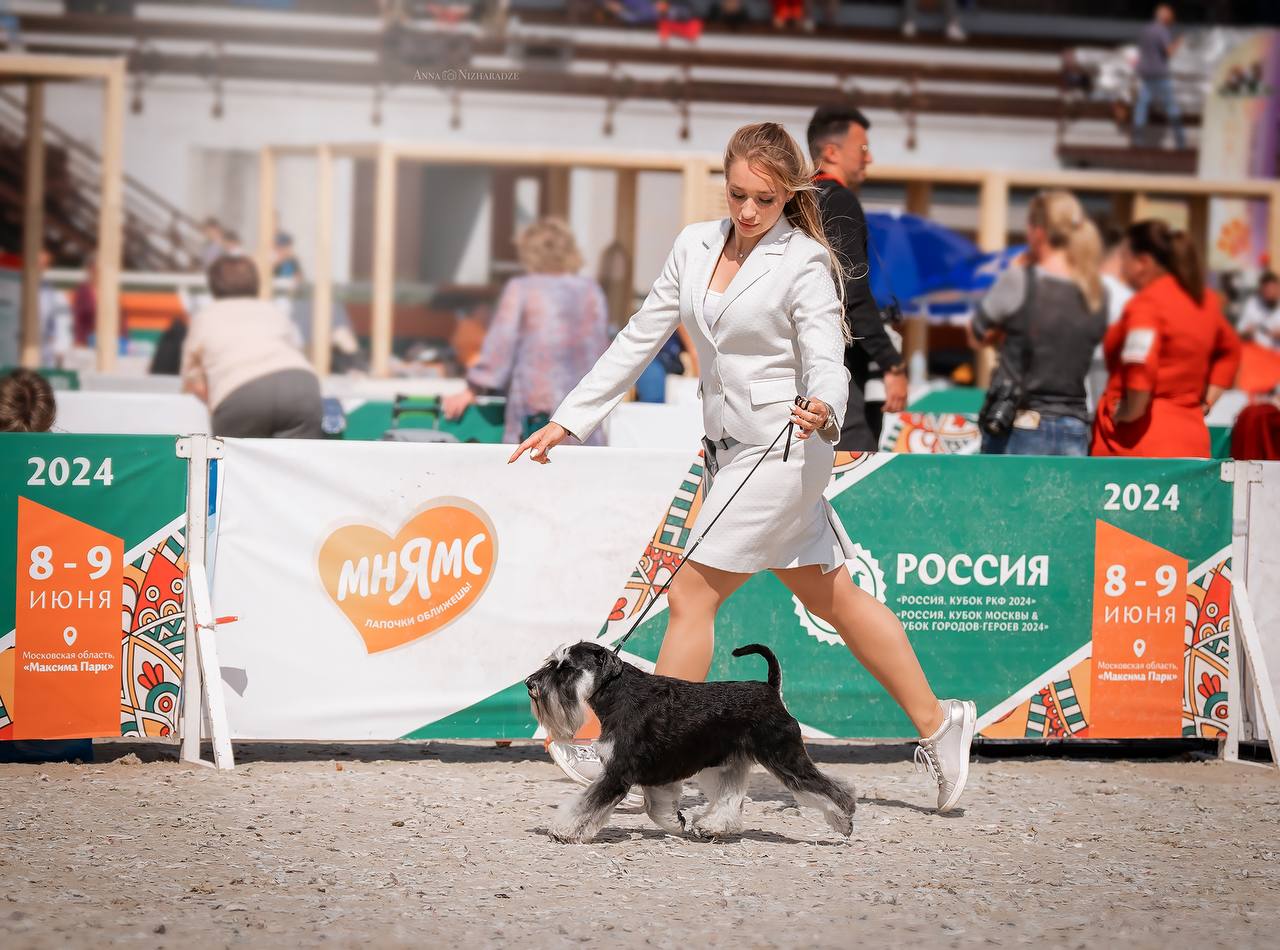 https://upforme.ru/uploads/0013/26/e2/64/600773.jpg