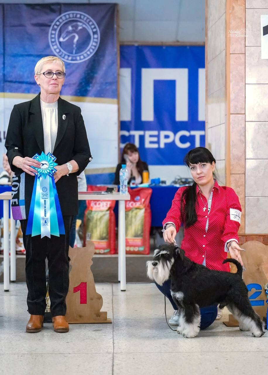 https://upforme.ru/uploads/0013/26/e2/64/602470.jpg