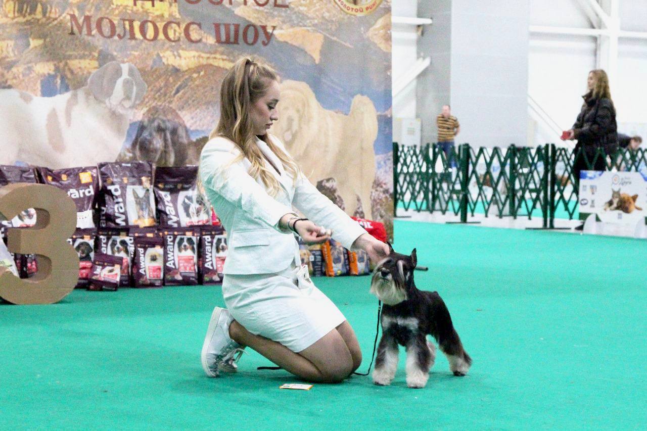 https://upforme.ru/uploads/0013/26/e2/64/610556.jpg