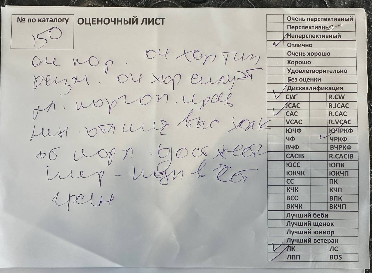 https://upforme.ru/uploads/0013/26/e2/64/62755.jpg