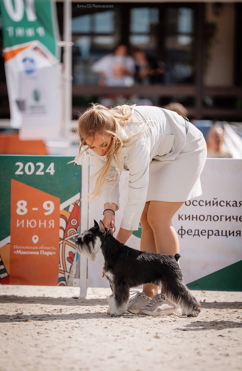 https://upforme.ru/uploads/0013/26/e2/64/629995.jpg
