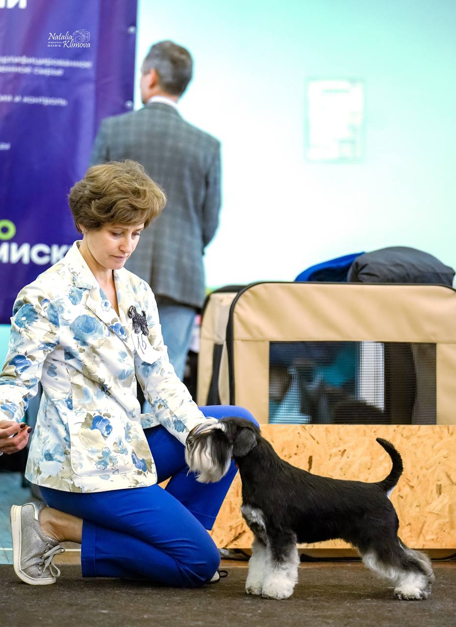 https://upforme.ru/uploads/0013/26/e2/64/634413.jpg